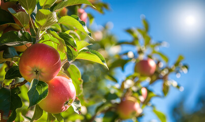 Sticker - Natural fresh fruit for health