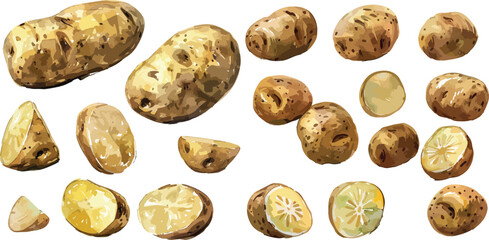 Canvas Print - potato watercolor clipart