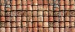 © Starlight - Panoramic close-up, high detail scan of terracotta roof tile texture, Generative AI
