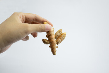 Human hand is holding turmeric. Turmeric is a typical Indonesian spice. isolated on white background.