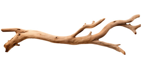 Wall Mural - driftwood isolated on transparent background