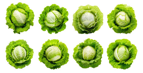 Wall Mural - Set of green cabbages, freshly picked, are arranged in a grid pattern against a white background. The cabbages are still wet from the garden, with droplets of water visible on the leaves