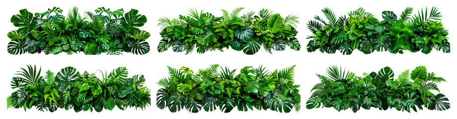 Wall Mural - A collection of six tropical foliage arrangements, featuring various green leaves and plants, isolated against a white backdrop