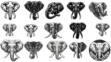 Wall Mural - Elephant Vector Art: Creative and Unique Designs