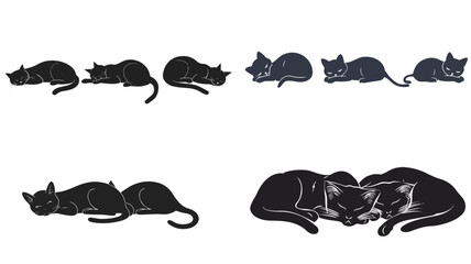 Poster - black and white cats