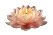 © Muhammad - Serene Lotus-Shaped Candle Illuminates Tranquil Space in Evening Glow on White or PNG Transparent Background.