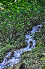 Wall Mural - Water stream flowing into the forest in Yedi Goller (Seven Lakes) National Park, Bolu, Turkey