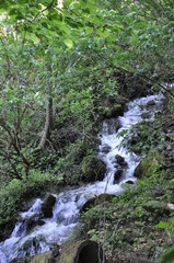 Wall Mural - Water stream flowing into the forest in Yedi Goller (Seven Lakes) National Park, Bolu, Turkey