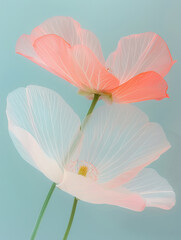 Wall Mural - blossom flower and leaf, translucence minimalist, frosted glass blur covered, multiple exposures, spring, summer, macro photography