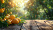 © Adeel - Create a major key for a photo featuring a wooden table with a blurred landscape in the background. On the table, prominently display yellow mangoes with juicy and sweet pieces around it4
