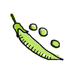 Wall Mural - Pea Isolated hand drawn doodle style vegetable. Transparent PNG.