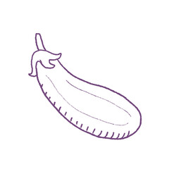 Wall Mural - Eggplant Isolated hand drawn doodle style vegetable.