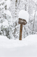 Canvas Print - Christmas Schild im Schnee