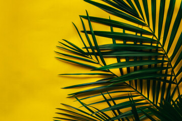 Wall Mural - Tropical Palm Leaves on Bright Yellow Background   Vibrant Nature Minimalist Design