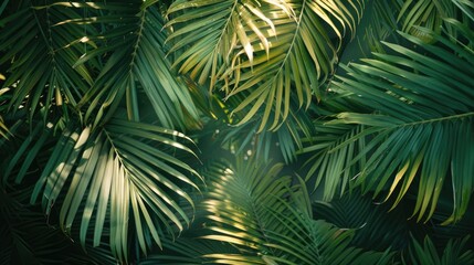 Wall Mural - green coconut leaves in a lovely view