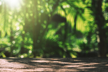 Wall Mural - blurry image of a forest with a lot of green leaves