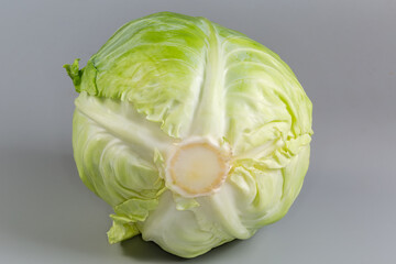 Wall Mural - Head of the young white cabbage on a gray background