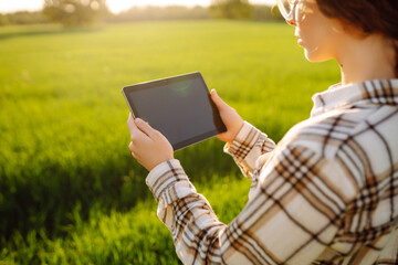 Wall Mural - Smart farm. Female farmer using tablet computer in rye crop field, concept of modern smart farming by using electronics, technology and mobile apps in agricultural production.