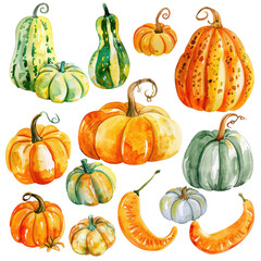 Colorful watercolor illustrations of various pumpkins and gourds, perfect for autumn and Thanksgiving designs isolated on white or transparent png background