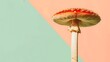 © QAISAR - Mushroom on green and salmon background