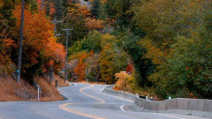 Wall Mural - Scenic winding byway part of Alpine loop in Utah surrounded with brilliant fall foliage