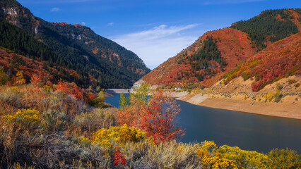 Wall Mural - colorful autumn trees along deer creek reservoir shore in utah