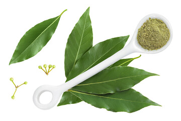 Wall Mural - Fresh Laurel leaves isolated on white background. Green bay leaf. Top view. Flat lay.