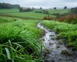 © pisan - Panoramic View of Gloomy Countryside Scenery with a Muddy Path Leading Through Lush Green Fields and Rolling Hills Under an Overcast Sky