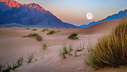 moonset over the mountains