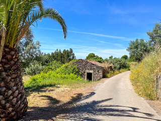 Sticker - old house and palmtree  on the camino de santiago in portugal, the portuguese way, pilgrimage