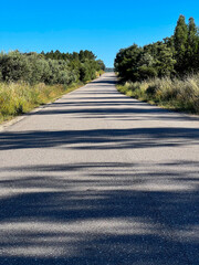 Sticker - long paved path trough the woods on the road to santiago de compostela, Portuguese way of the St. James way