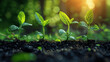 © btiger - Business Growth and Success Concept with Growing Plants and Financial Graphs