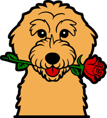 Poster - Goldendoodle with Rose