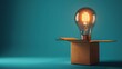 © sri - Light Bulb in a Box:  Thinking Outside the Box