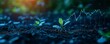 © MiniRiz - Green shoots growing from soil with stock market graph superimposed, Concept of green investment, ESG, sustainable business and economic growth