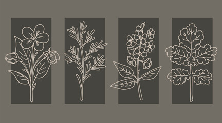 Wall Mural - outline floral set. hand drawing flowers and leaves. vector illustration. natural herbs and wildflow