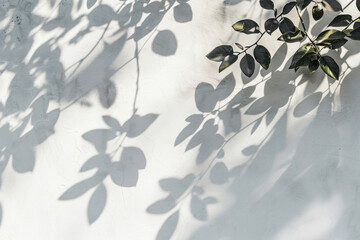 Sticker - white background with shadows of leaves and flowers, abstract, beautiful, soft light, white wall, minimalist, nature shadow overlay,