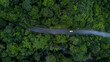 © Kalyakan - Aerial view car driving on asphalt forest road in green forest tree, Car on forest road green tree adventure forest road trip travel ecosystem ecology environment, Nature adventure travel trip.