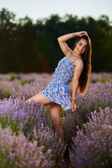 Wall Mural - Woman in a lavender field