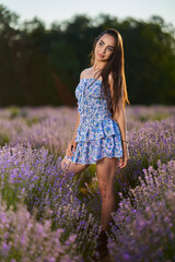 Canvas Print - Woman in a lavender field