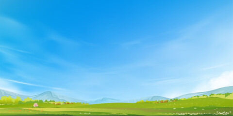 Wall Mural - spring landscape with flower in park,vector illustration cartoon with green grass meadow on hills wi