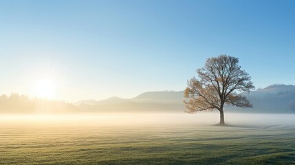 Wall Mural - a tree stands in a field with a cloudy sky in the background