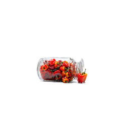 Wall Mural - Pickled cherry peppers bright red and spicy spilling from a jar with seeds and brine