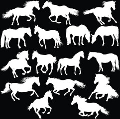 Wall Mural - sixteen horse silhouettes on black