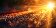 © Raool - Overlays, overlay, light transition, effects sunlight, lens flare, light leaks. sun rays light effects, overlays or flare glow isolated on black background for design, Generative AI