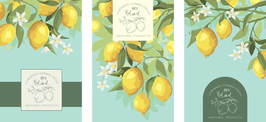 Wall Mural - Set of backgrounds with lemon branches. Floral design elements for label of drinks with graphic logotype sign. Vector illustration  in watercolor style.