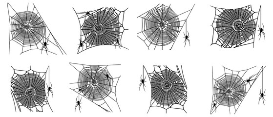 Wall Mural - spider web set of vector