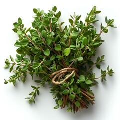 Wall Mural - thyme herb isolated on white background with shadow. thyme top view. thyme with leaves flat lay