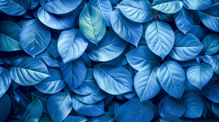 Canvas Print - Blue Leaf Texture Background