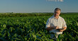 © StockMediaSeller - Farmer using a tablet, standing in the distance among green corn